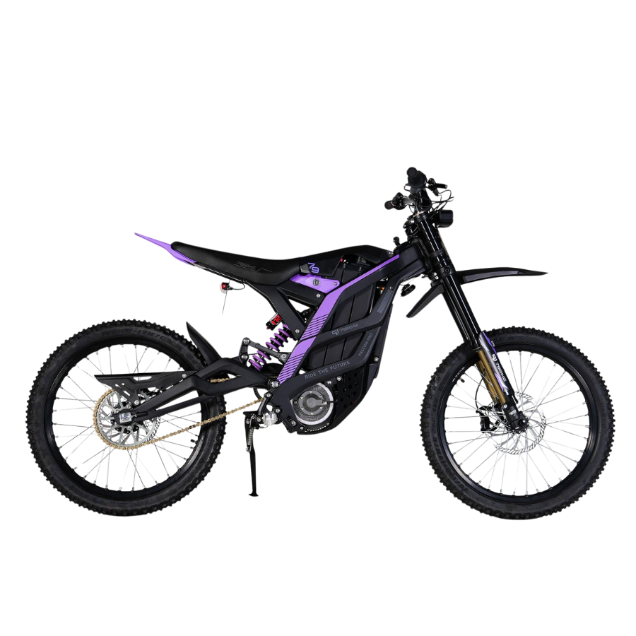 79BIKE Falcon Pro